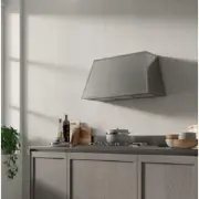 model-name