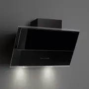 model-name